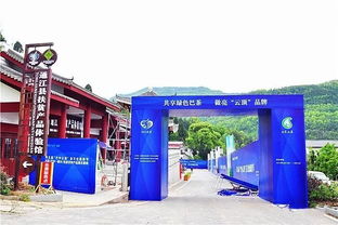 走，采茶去！第五屆“巴中云頂”茶文化旅游節明日盛大啟幕